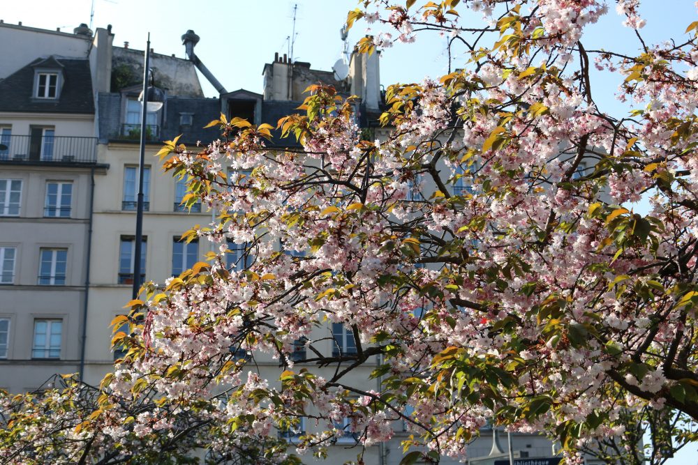 весна в Париже