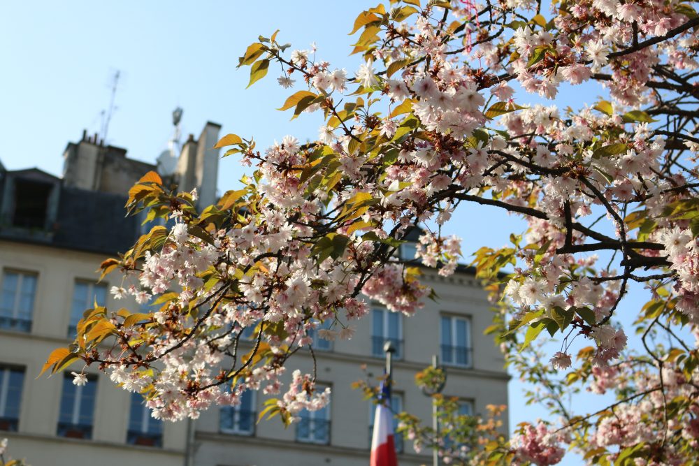 весна в Париже