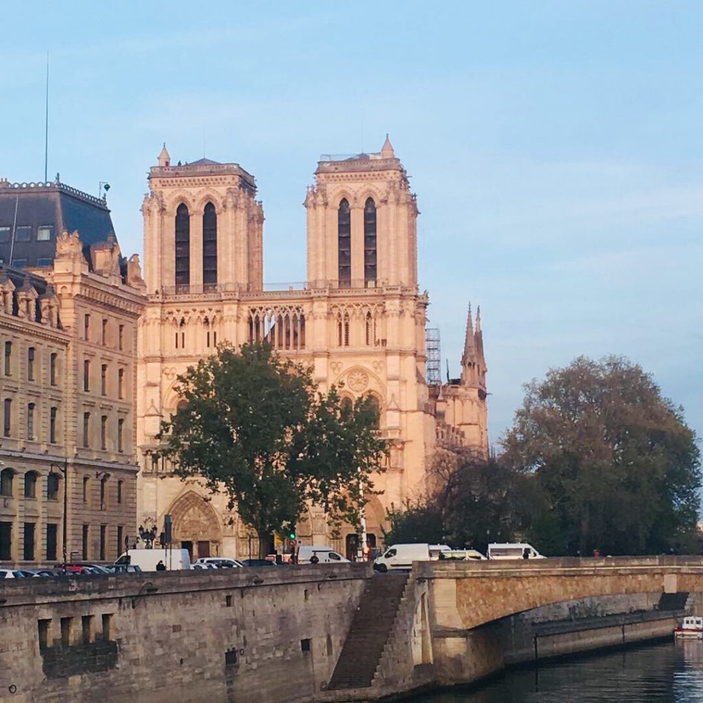 Notre Dame de Paris after fire