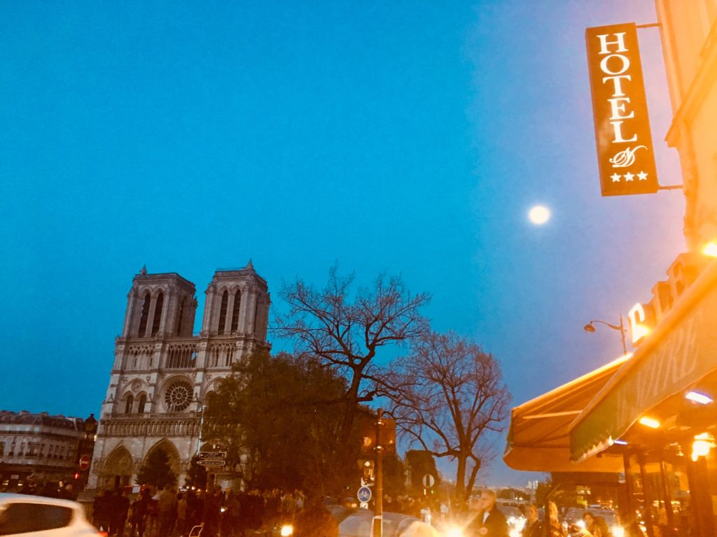 Notre Dame de Paris after fire