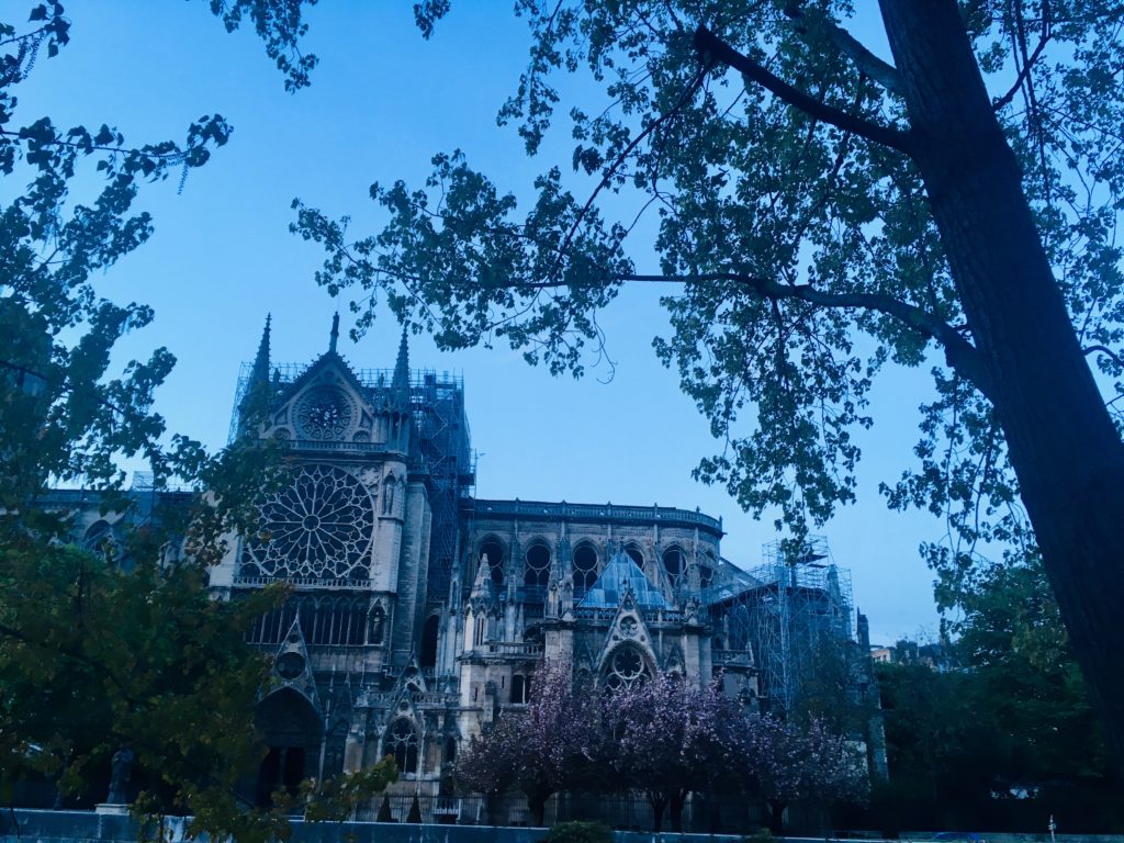 Notre Dame after fire