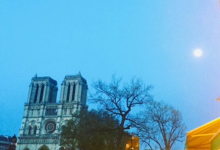 Notre Dame after fire