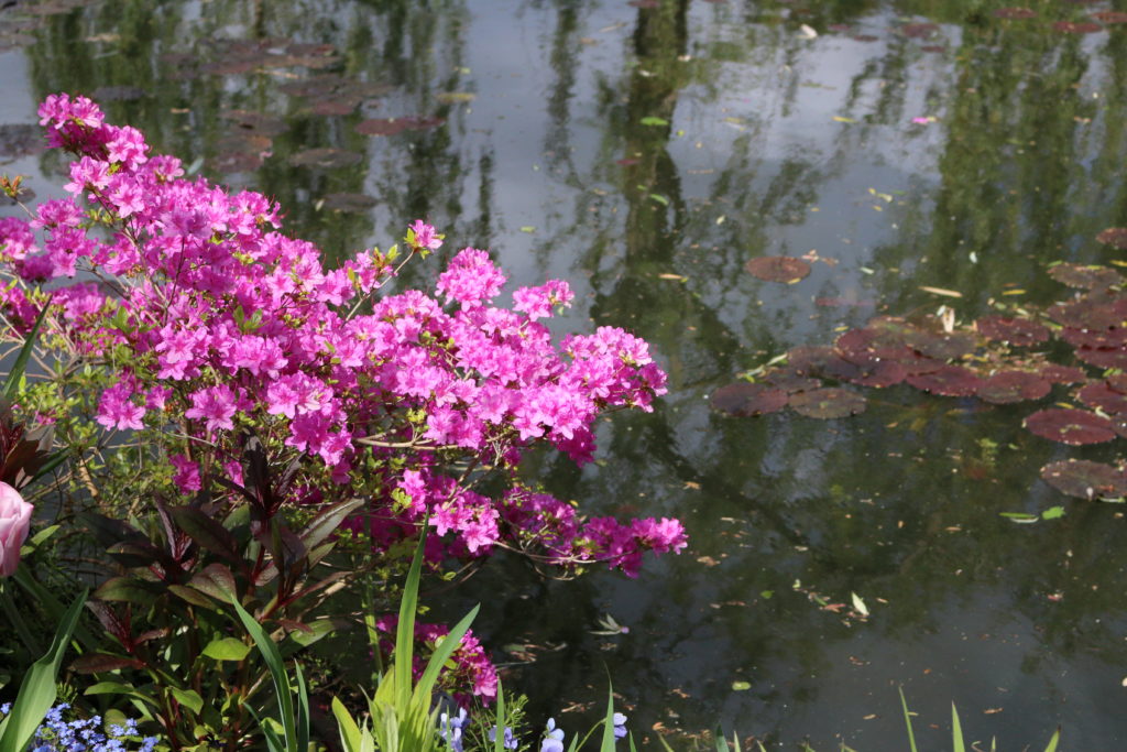 Giverny