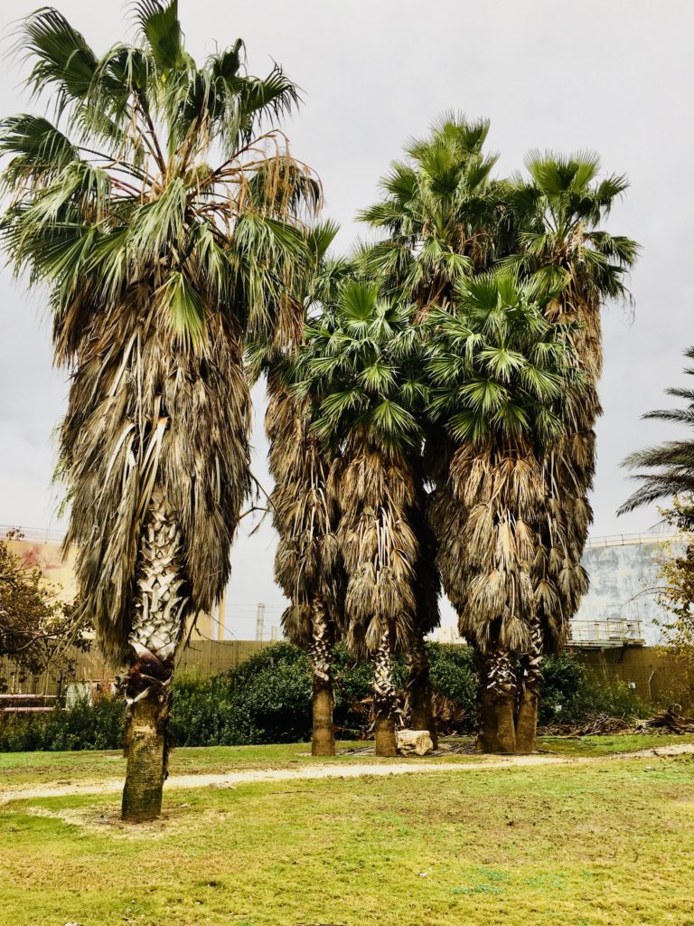 Tel Aviv - Photo by Olga de Benoist